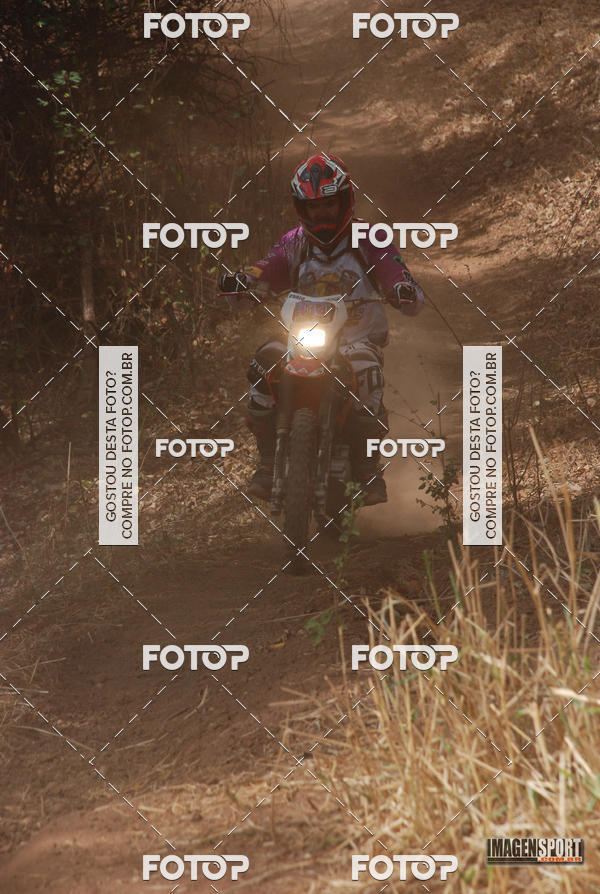 Buy your photos of the event3 Trilho dos Frangos on Fotop