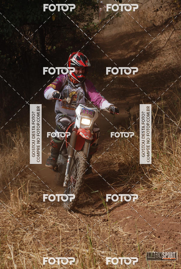 Buy your photos of the event3 Trilho dos Frangos on Fotop