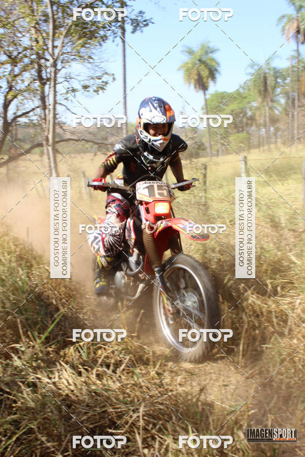 Buy your photos of the event3 Trilho dos Frangos on Fotop