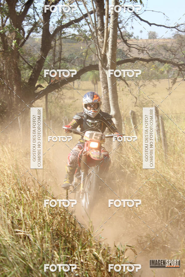 Buy your photos of the event3 Trilho dos Frangos on Fotop