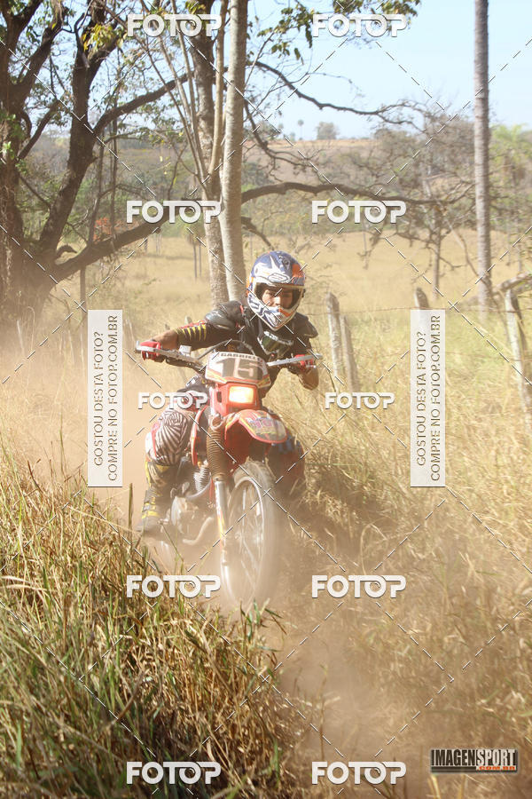 Buy your photos of the event3 Trilho dos Frangos on Fotop