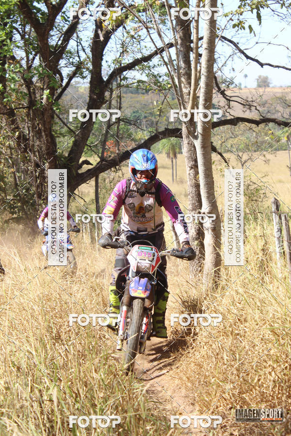 Buy your photos of the event3 Trilho dos Frangos on Fotop