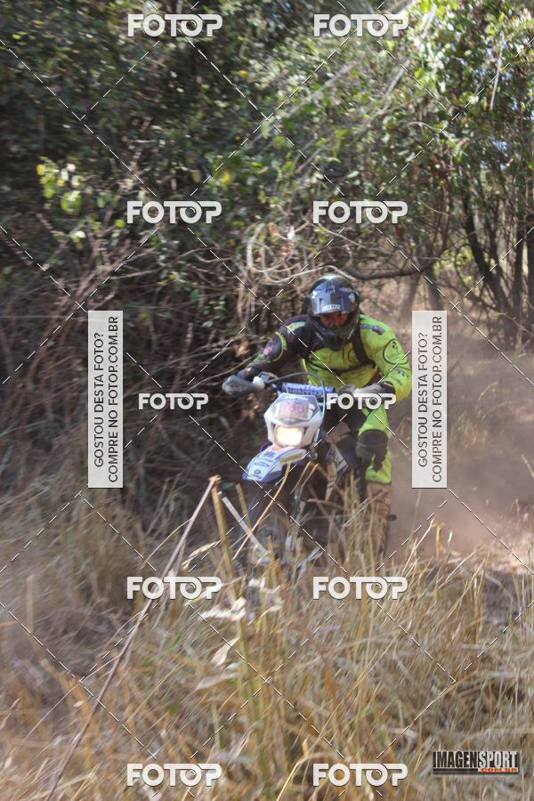 Buy your photos of the event3 Trilho dos Frangos on Fotop