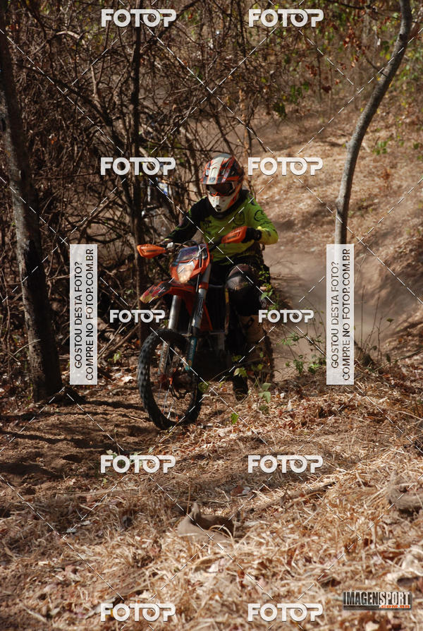 Buy your photos of the event3 Trilho dos Frangos on Fotop