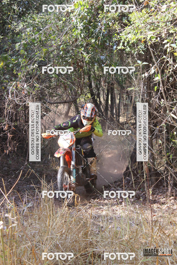 Buy your photos of the event3 Trilho dos Frangos on Fotop