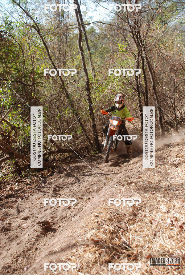 Buy your photos of the event3 Trilho dos Frangos on Fotop