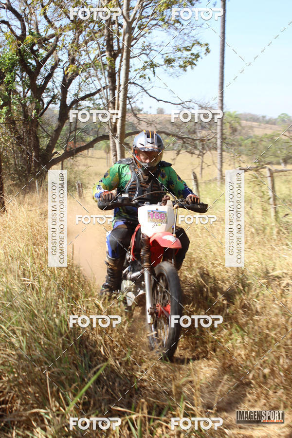 Buy your photos of the event3 Trilho dos Frangos on Fotop