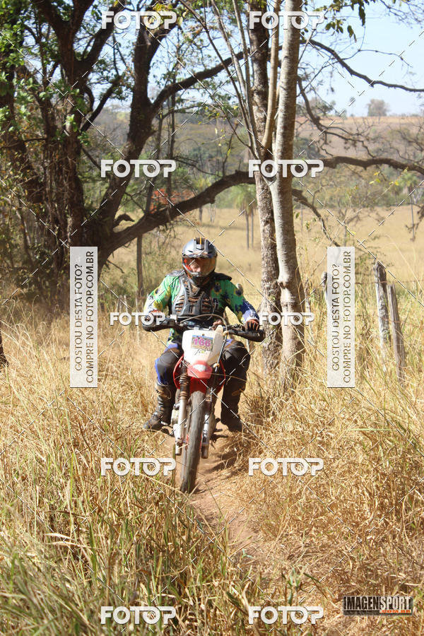 Buy your photos of the event3 Trilho dos Frangos on Fotop