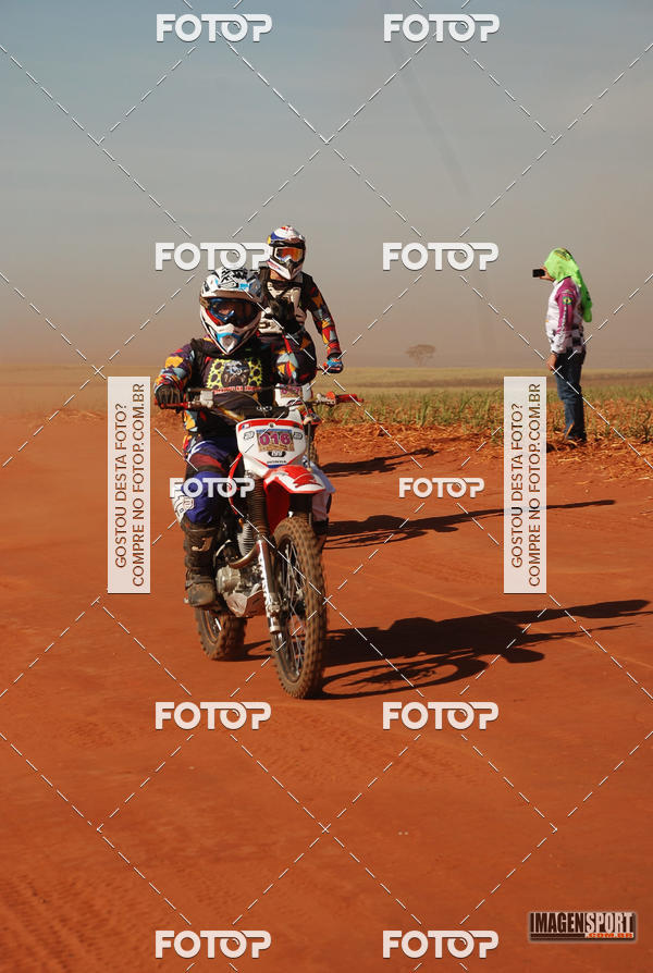 Buy your photos of the event3 Trilho dos Frangos on Fotop