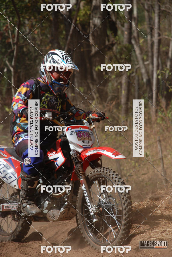 Buy your photos of the event3 Trilho dos Frangos on Fotop