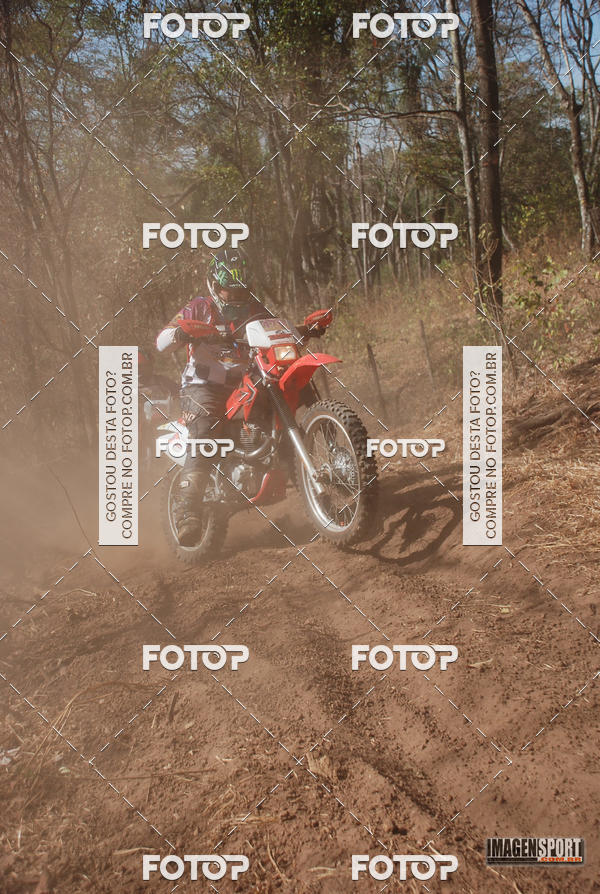 Buy your photos of the event3 Trilho dos Frangos on Fotop