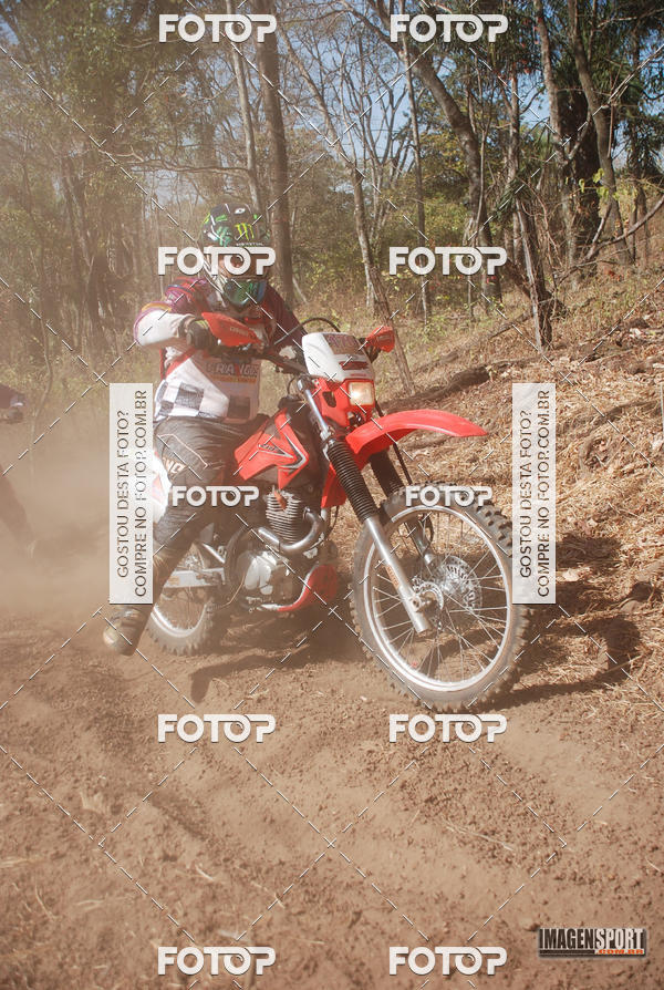 Buy your photos of the event3 Trilho dos Frangos on Fotop