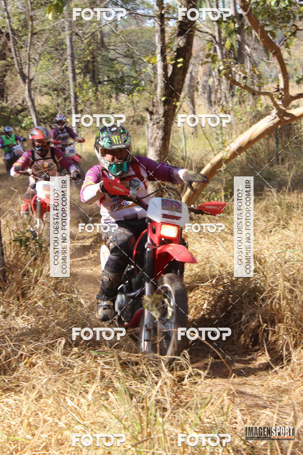 Buy your photos of the event3 Trilho dos Frangos on Fotop