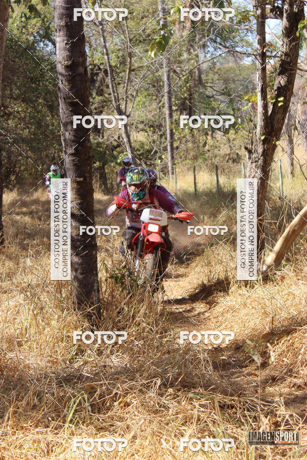 Buy your photos of the event3 Trilho dos Frangos on Fotop