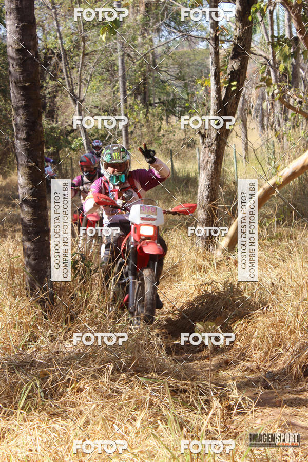 Buy your photos of the event3 Trilho dos Frangos on Fotop