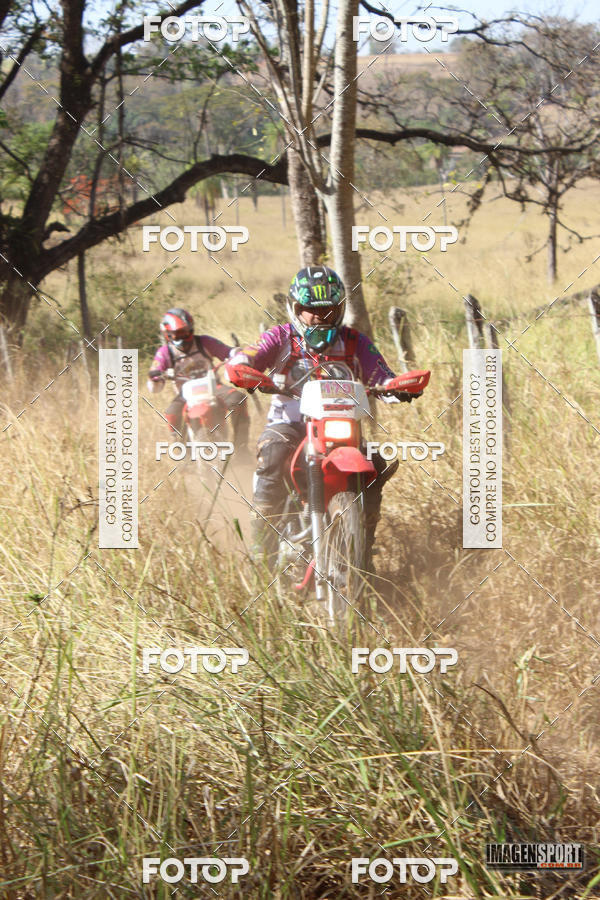 Buy your photos of the event3 Trilho dos Frangos on Fotop