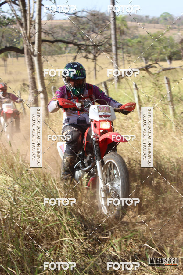 Buy your photos of the event3 Trilho dos Frangos on Fotop