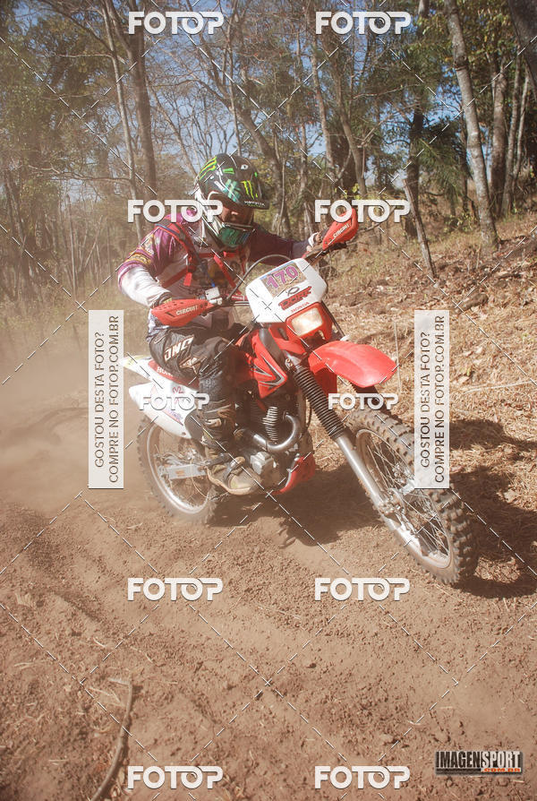 Buy your photos of the event3 Trilho dos Frangos on Fotop