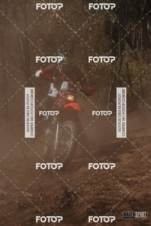 Buy your photos of the event3 Trilho dos Frangos on Fotop