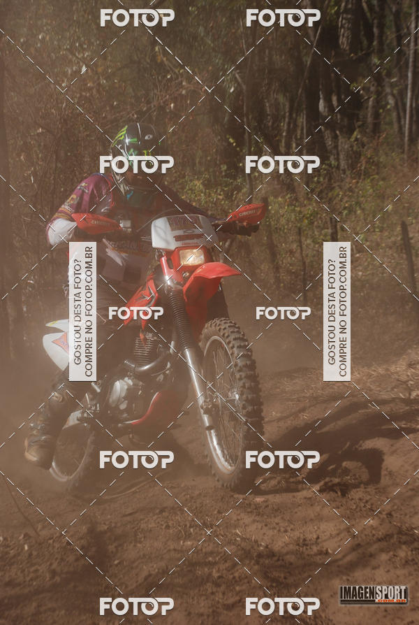 Buy your photos of the event3 Trilho dos Frangos on Fotop