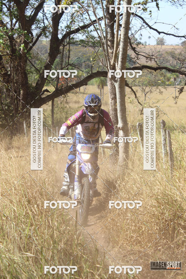 Buy your photos of the event3 Trilho dos Frangos on Fotop