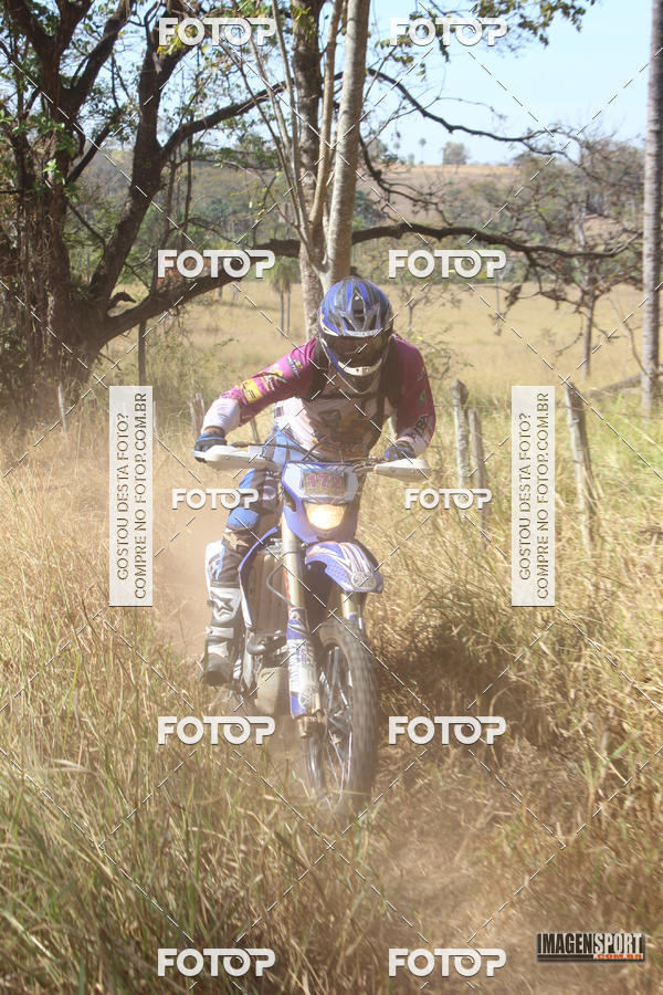 Buy your photos of the event3 Trilho dos Frangos on Fotop