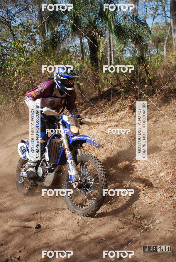 Buy your photos of the event3 Trilho dos Frangos on Fotop