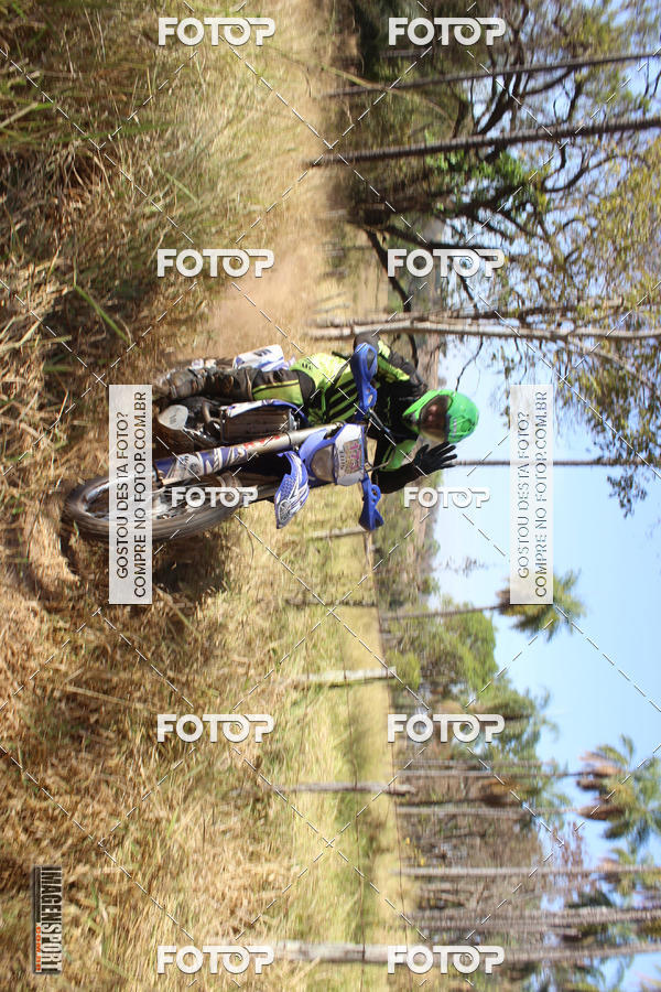 Buy your photos of the event3 Trilho dos Frangos on Fotop