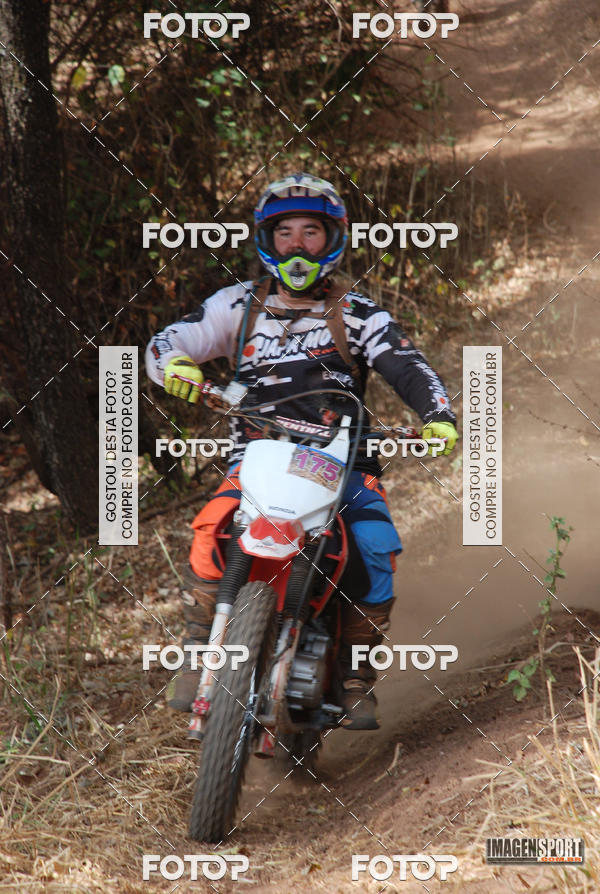 Buy your photos of the event3 Trilho dos Frangos on Fotop