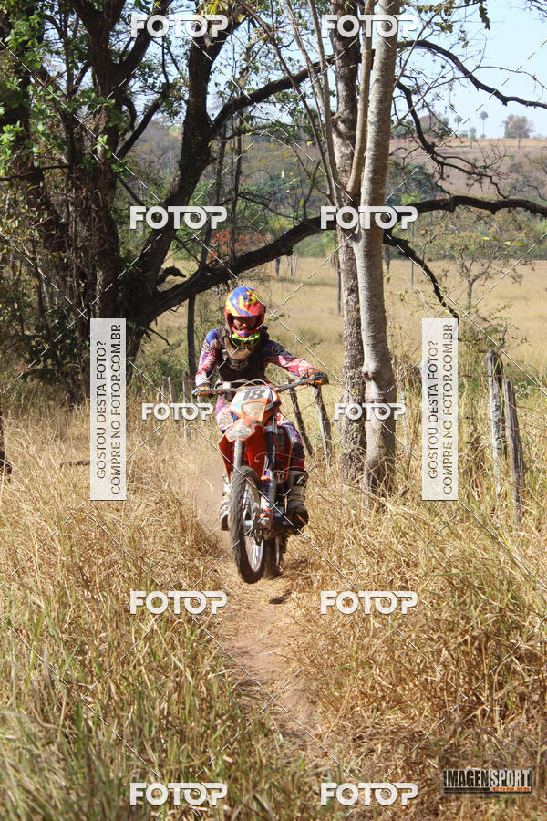 Buy your photos of the event3 Trilho dos Frangos on Fotop