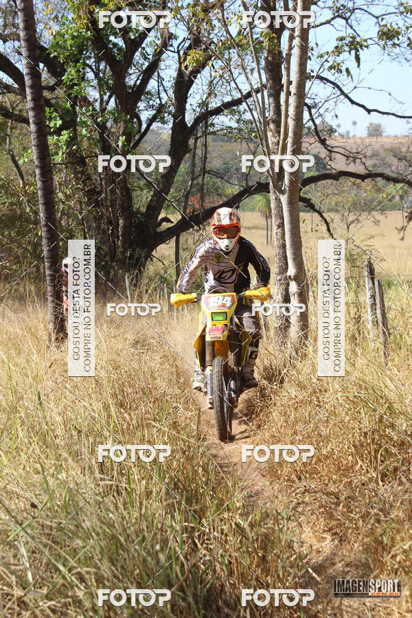 Buy your photos of the event3 Trilho dos Frangos on Fotop