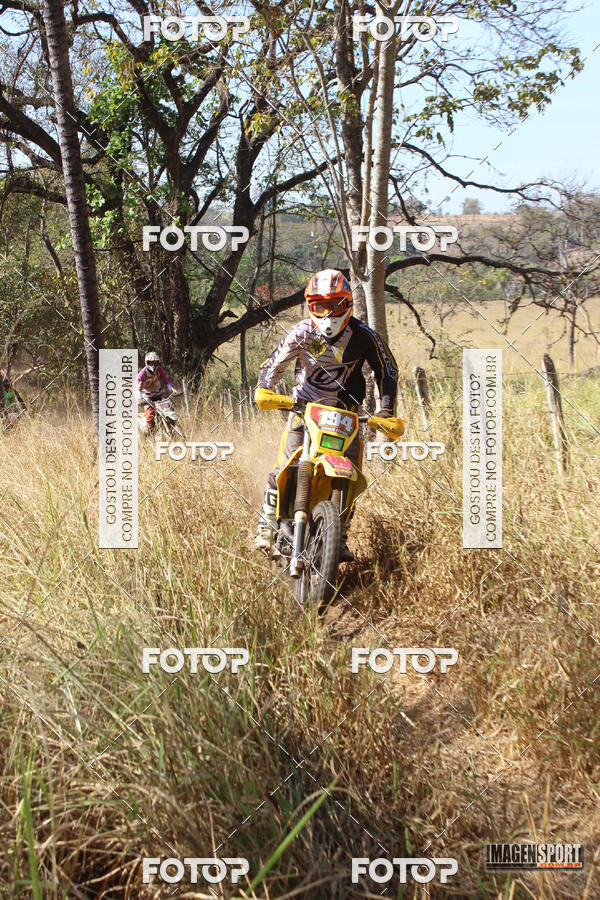 Buy your photos of the event3 Trilho dos Frangos on Fotop