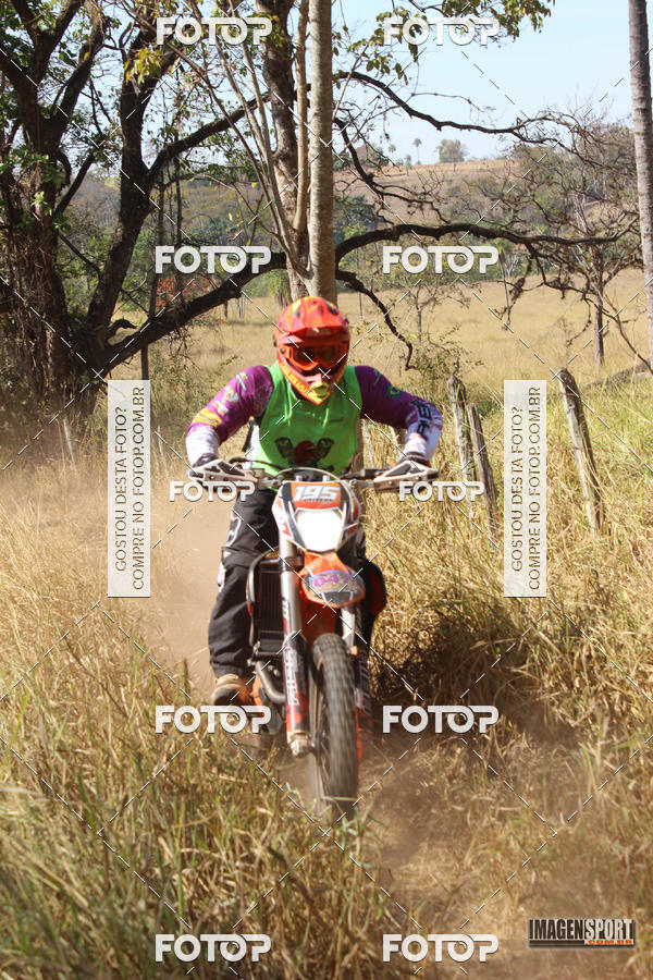 Buy your photos of the event3 Trilho dos Frangos on Fotop