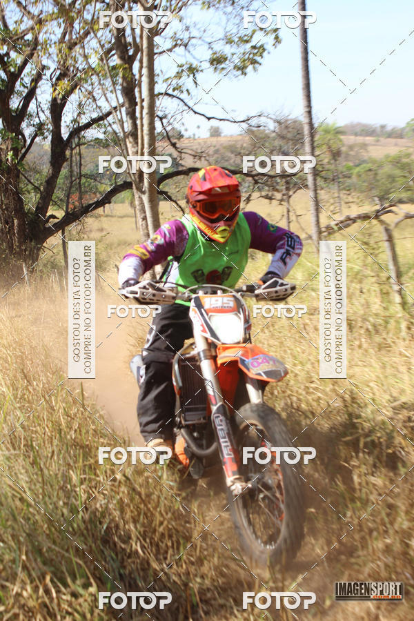 Buy your photos of the event3 Trilho dos Frangos on Fotop