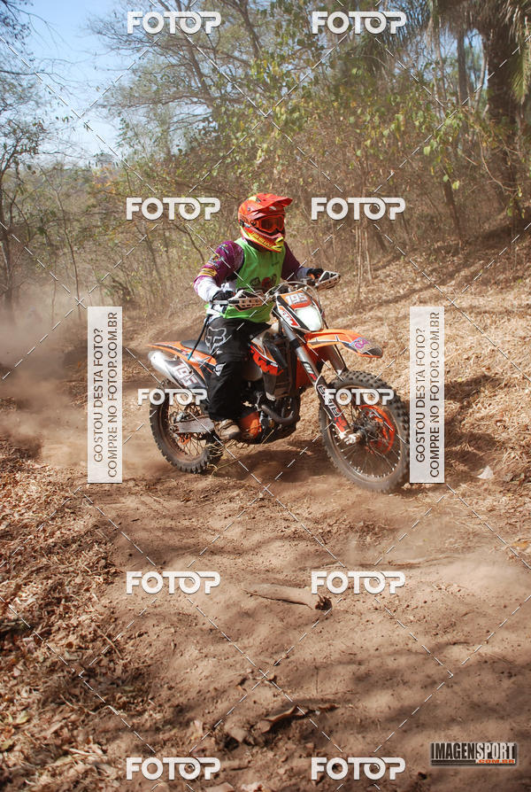 Buy your photos of the event3 Trilho dos Frangos on Fotop