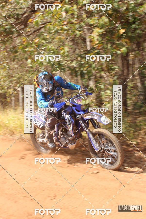 Buy your photos of the event3 Trilho dos Frangos on Fotop