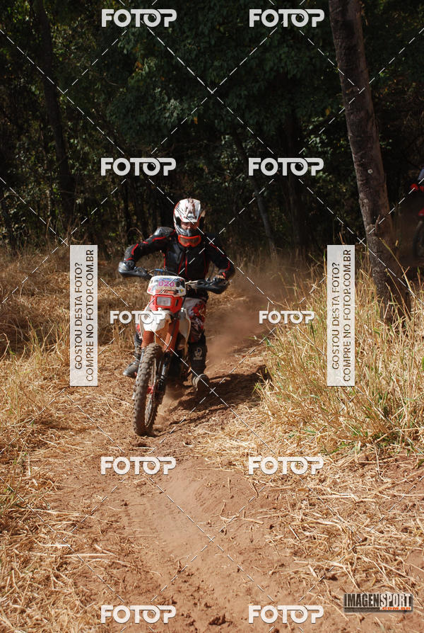 Buy your photos of the event3 Trilho dos Frangos on Fotop