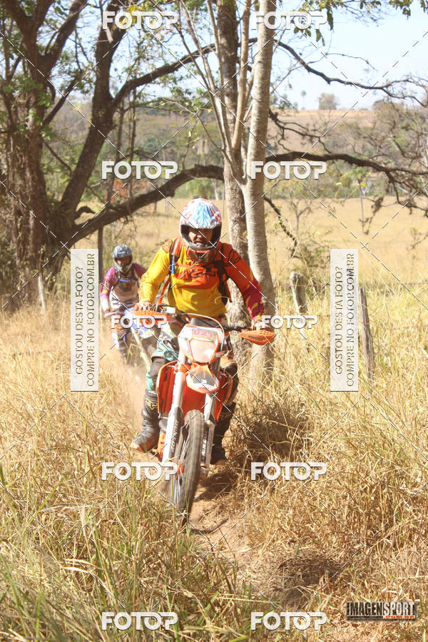 Buy your photos of the event3 Trilho dos Frangos on Fotop