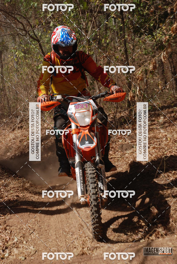 Buy your photos of the event3 Trilho dos Frangos on Fotop