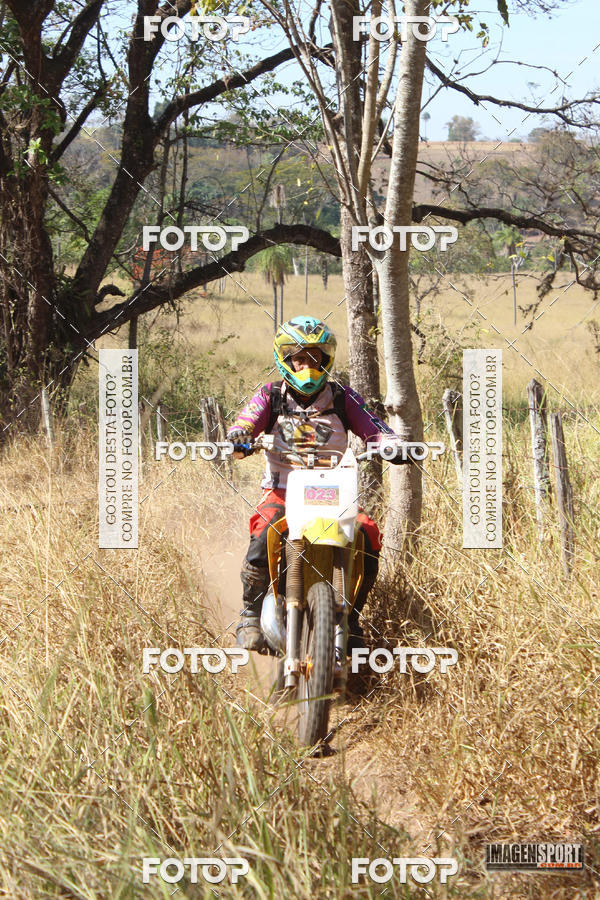 Buy your photos of the event3 Trilho dos Frangos on Fotop