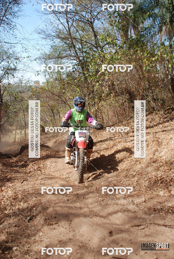 Buy your photos of the event3 Trilho dos Frangos on Fotop