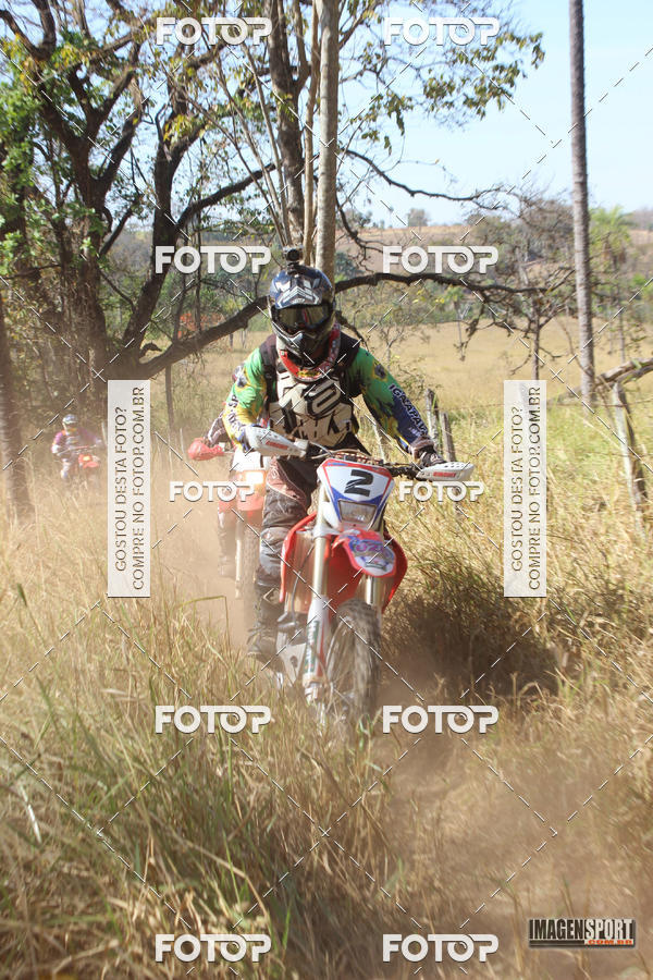 Buy your photos of the event3 Trilho dos Frangos on Fotop