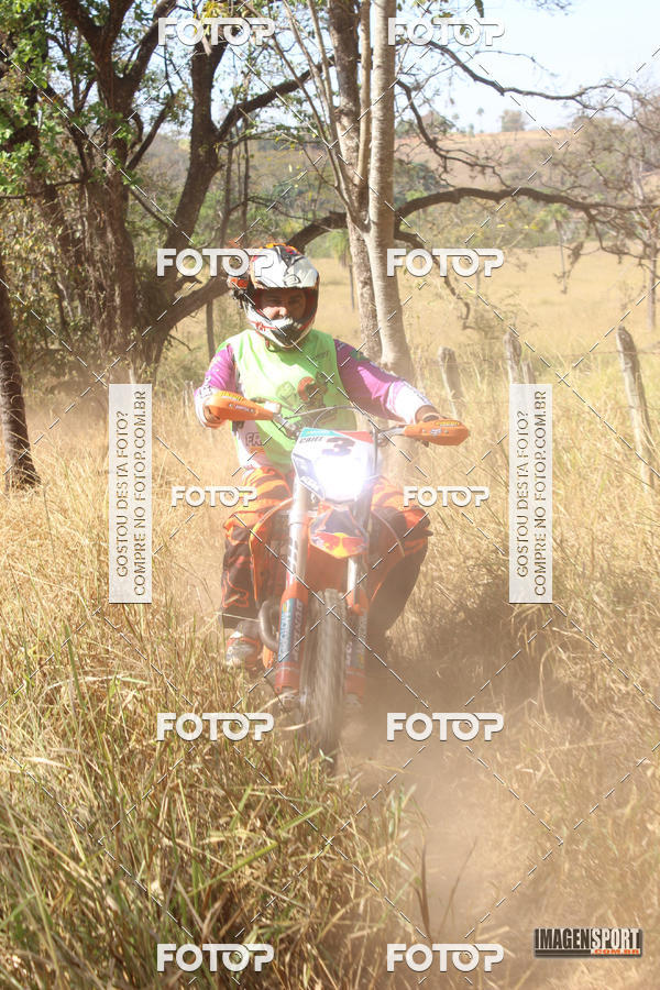 Buy your photos of the event3 Trilho dos Frangos on Fotop