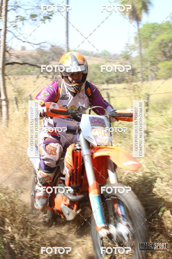 Buy your photos of the event3 Trilho dos Frangos on Fotop