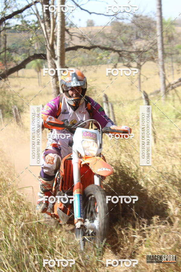 Buy your photos of the event3 Trilho dos Frangos on Fotop