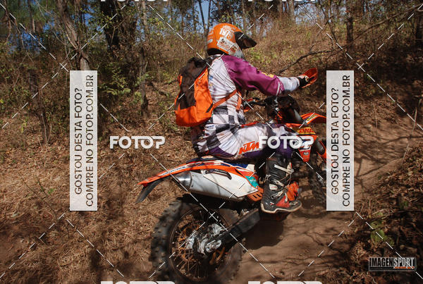 Compra tus fotos del evento3 Trilho dos Frangos En Fotop