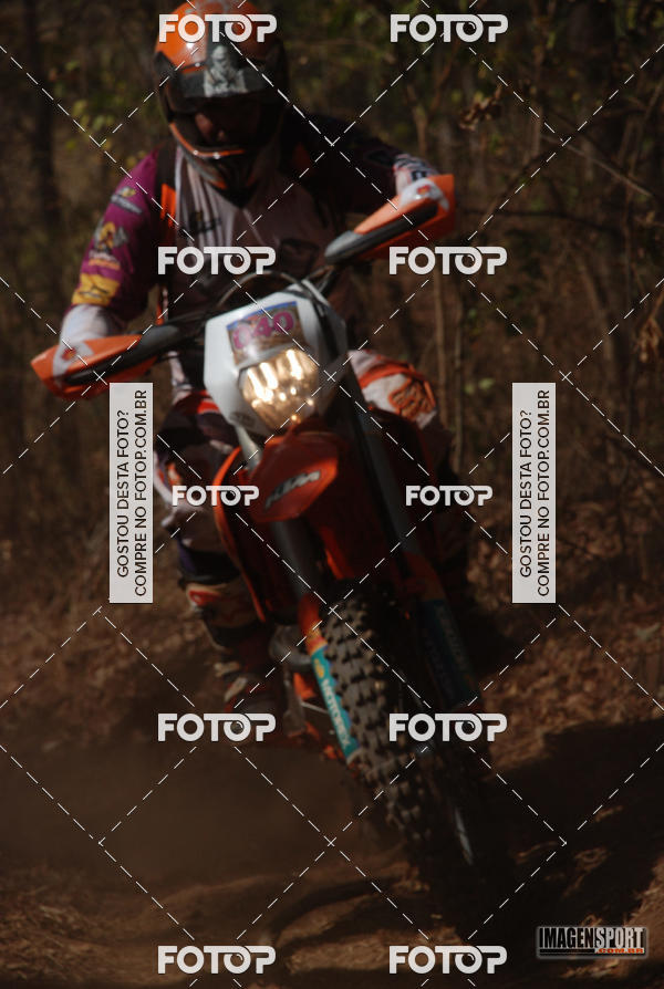 Buy your photos of the event3 Trilho dos Frangos on Fotop