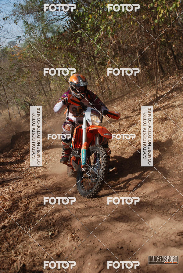 Compra tus fotos del evento3 Trilho dos Frangos En Fotop