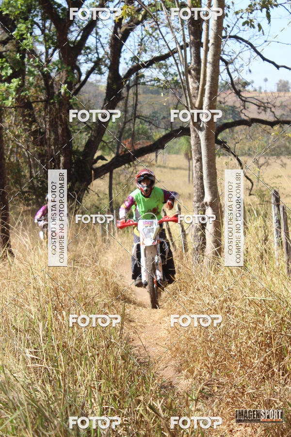 Compra tus fotos del evento3 Trilho dos Frangos En Fotop