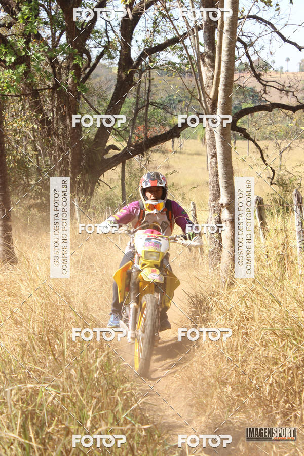 Compra tus fotos del evento3 Trilho dos Frangos En Fotop